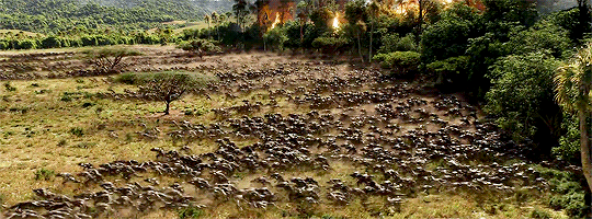 tumblr_p06pm2iz8l1ueflqxo1_540.gif