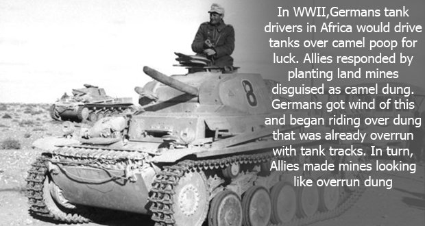 104GermanTank.jpg