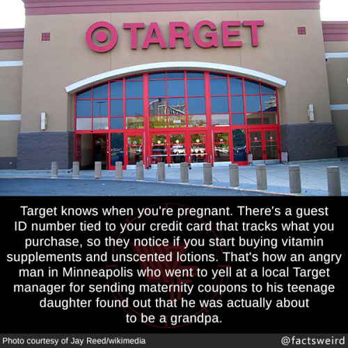 tumblr_owd17uag5N1szqwnwo1_500.jpg