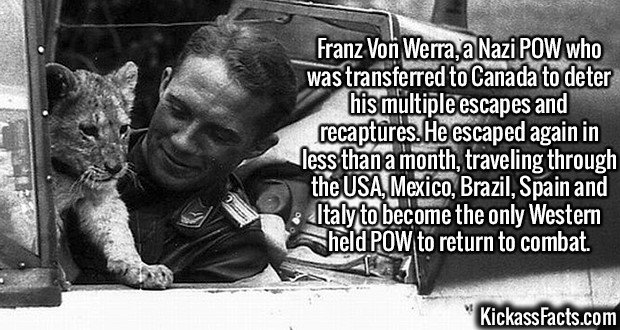 2649-Franz-Von-Werra.jpg