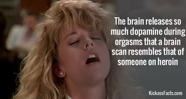 270Orgasm.jpg