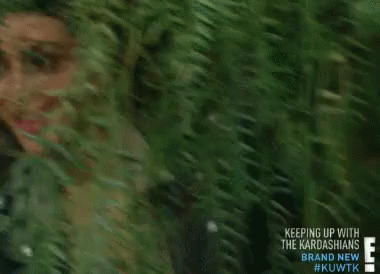 rlh8ffppuy23.gif