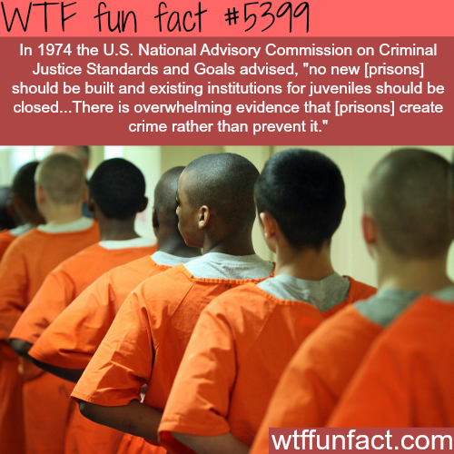 tumblr_o498dfybZB1roqv59o1_500.png