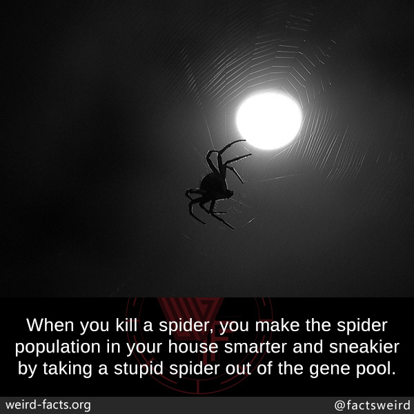 tumblr_p02xncKKKh1szqwnwo1_1280.jpg