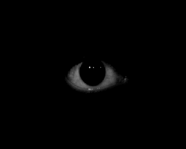 tumblr_mhtqkaL6BE1s577v2o1_400.gif