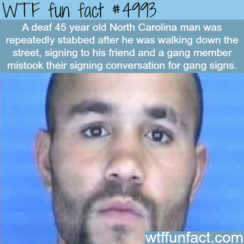 tumblr_nzjbnfK9dN1roqv59o1_500.png