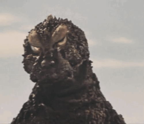 tumblr_o47o1frGEd1u8qr43o1_500.gif