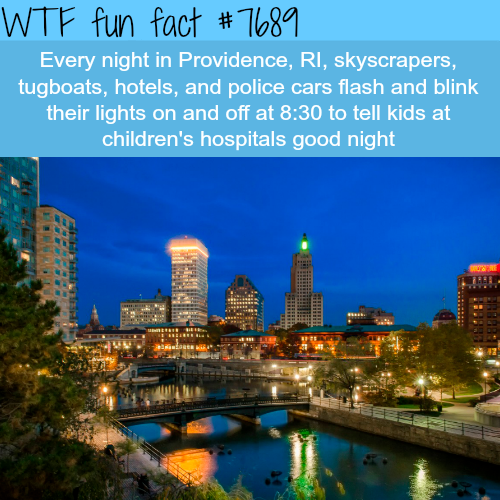 tumblr_ot087jpO601roqv59o1_500.png