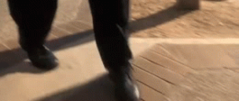 qb6cersds7wx.gif